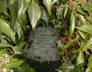 treeplaque2.jpg (98985 bytes)