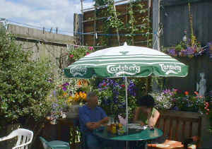 The Patio Garden