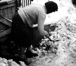 Mom clearing snow in the yard.
