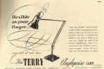 terry.jpg (43336 bytes)
