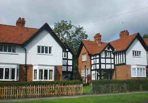 264bwakegreen.jpg (46747 bytes)