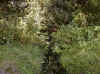 bog10.jpg (185661 bytes)