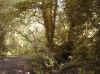 bog15.jpg (149783 bytes)