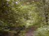 bog4.jpg (166340 bytes)