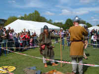 vikings1.jpg (92560 bytes)