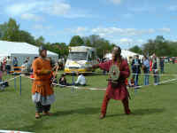 vikings3.jpg (94723 bytes)