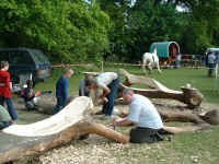 wood_carving.jpg (135757 bytes)